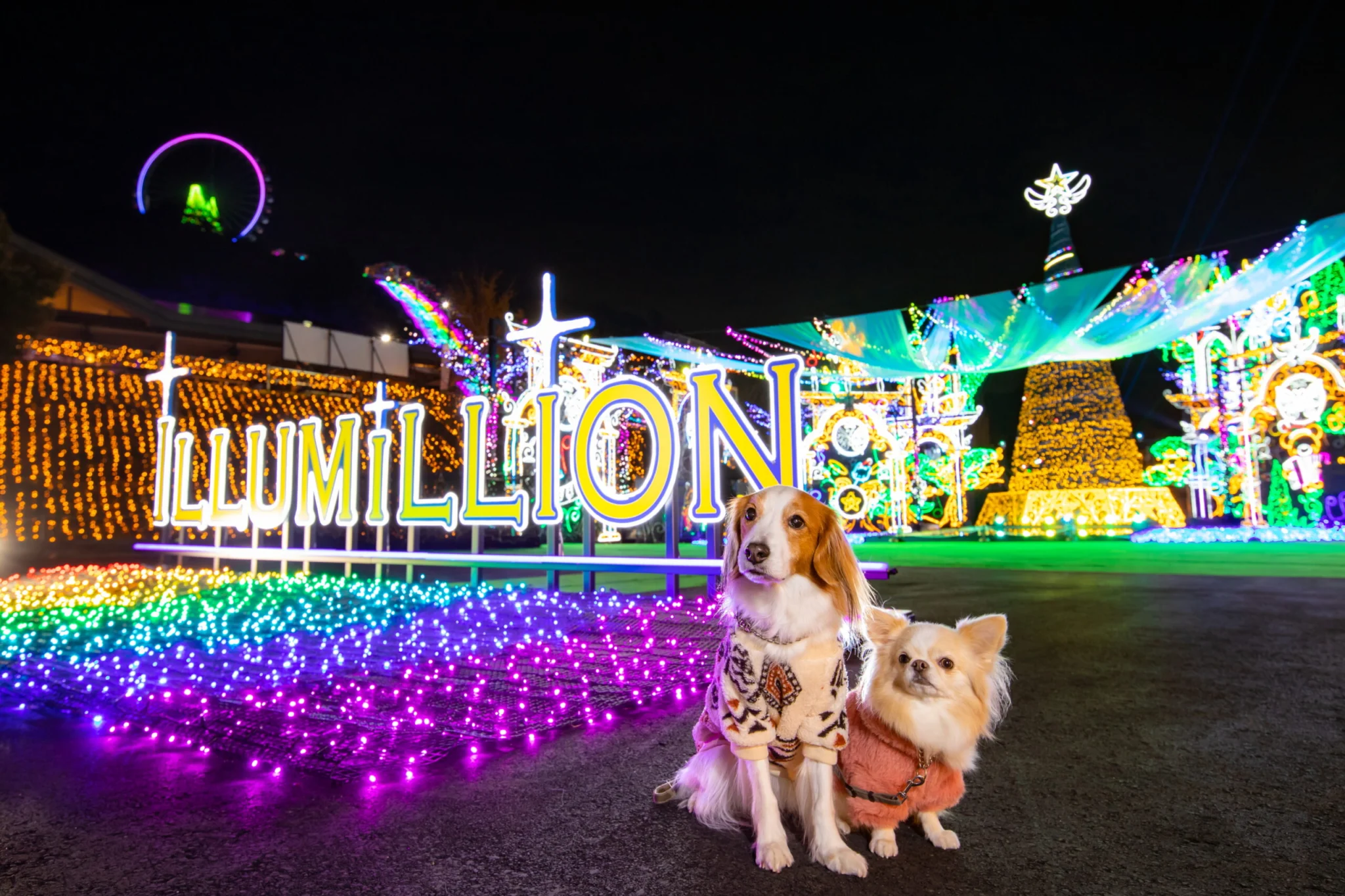 さがみ湖MORI MORI