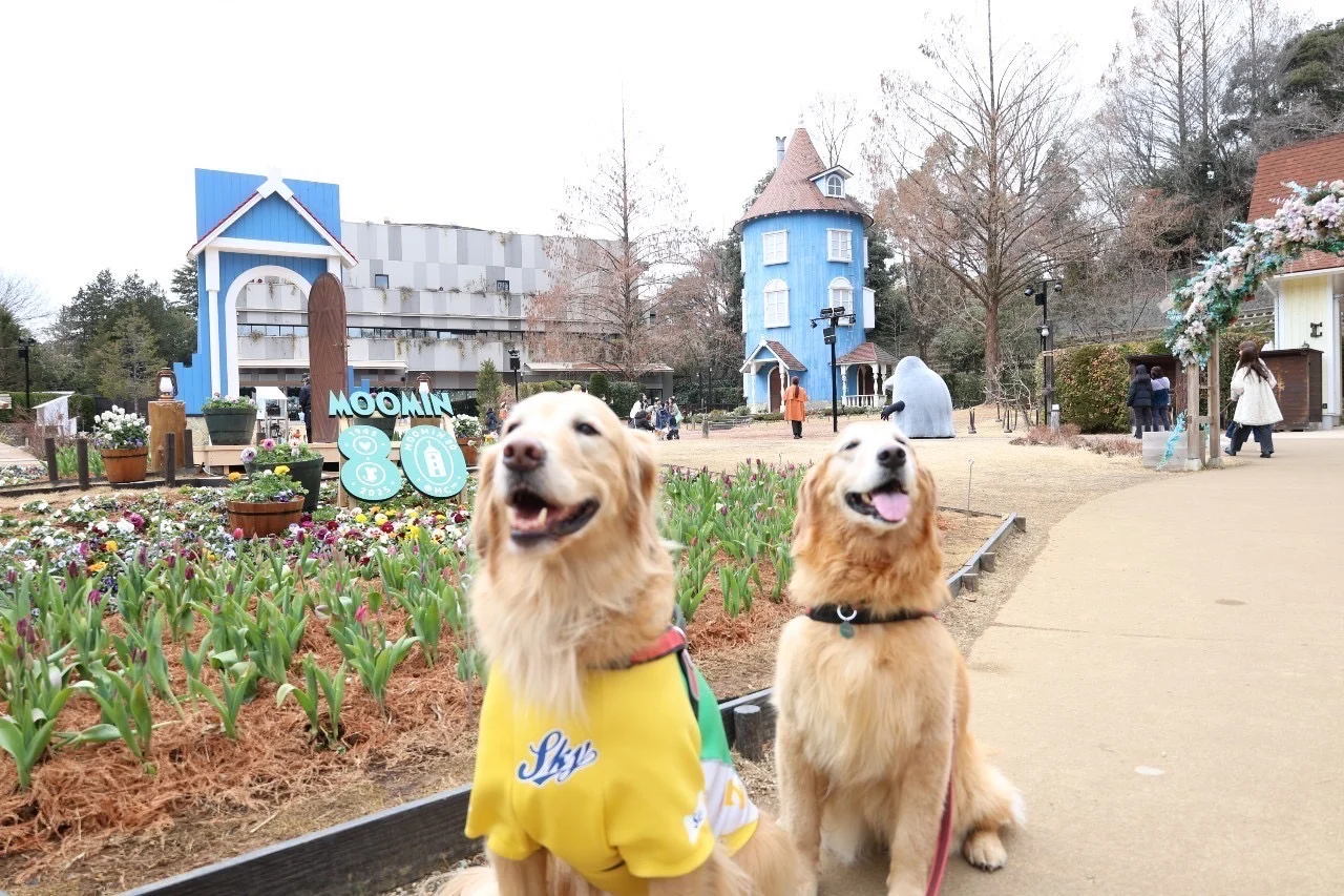 メッツァビレッジ・ムーミンバレーパーク