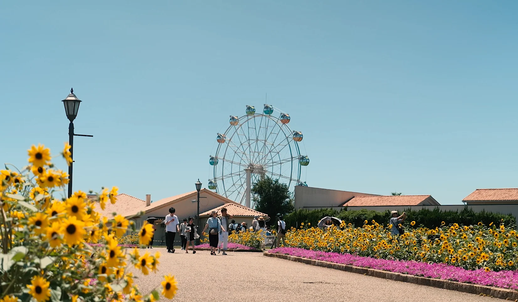 長井海の手公園 ソレイユの丘