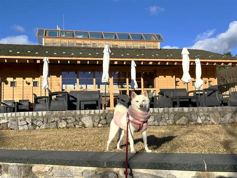 地蔵カフェ 月の貌(つきのかお)