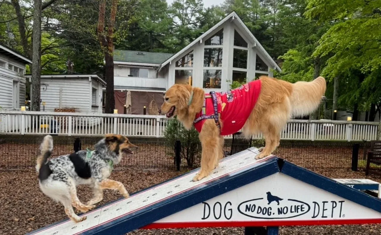 DOGDEPT GARDEN 軽井沢