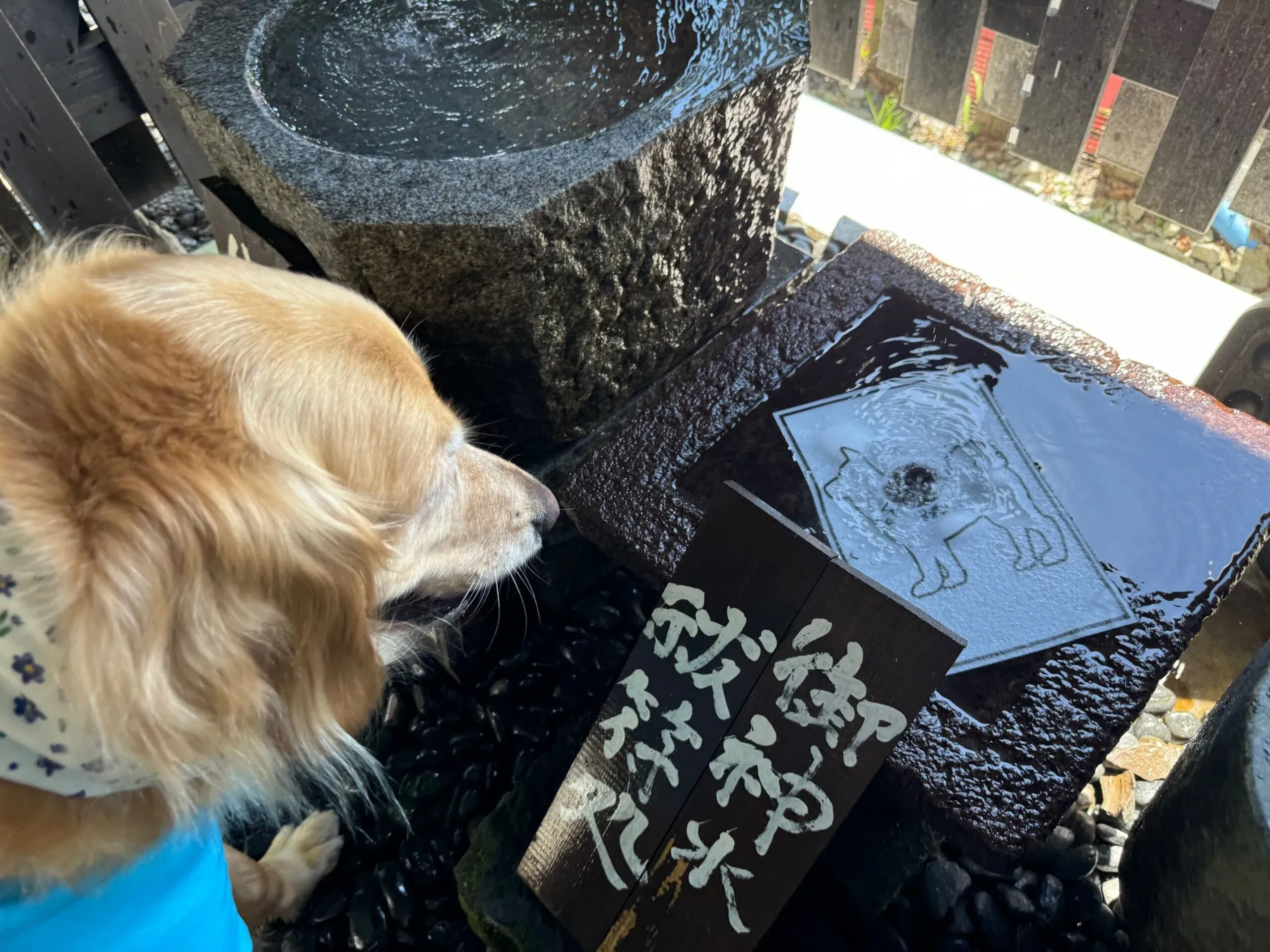 軽井沢熊野皇大神社