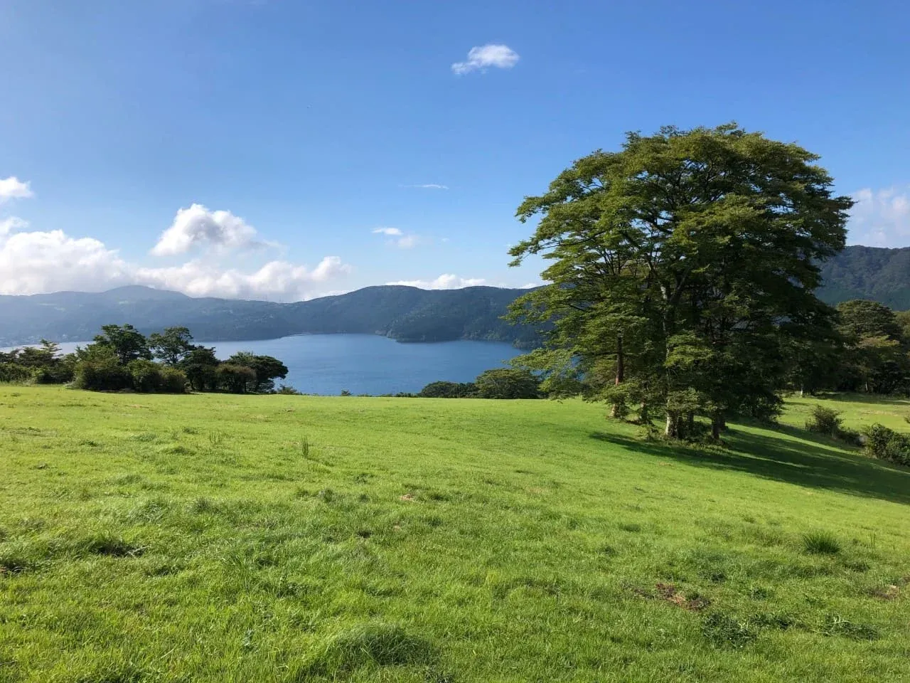 箱根園 富士芦ノ湖パノラマパーク