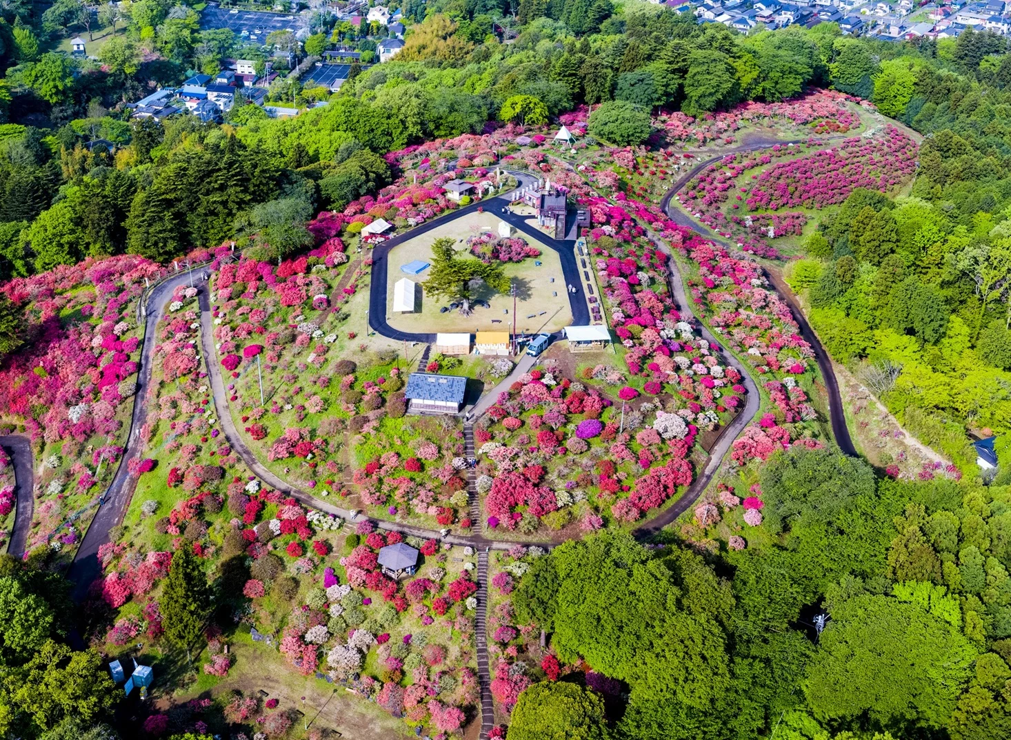 笠間市立つつじ公園