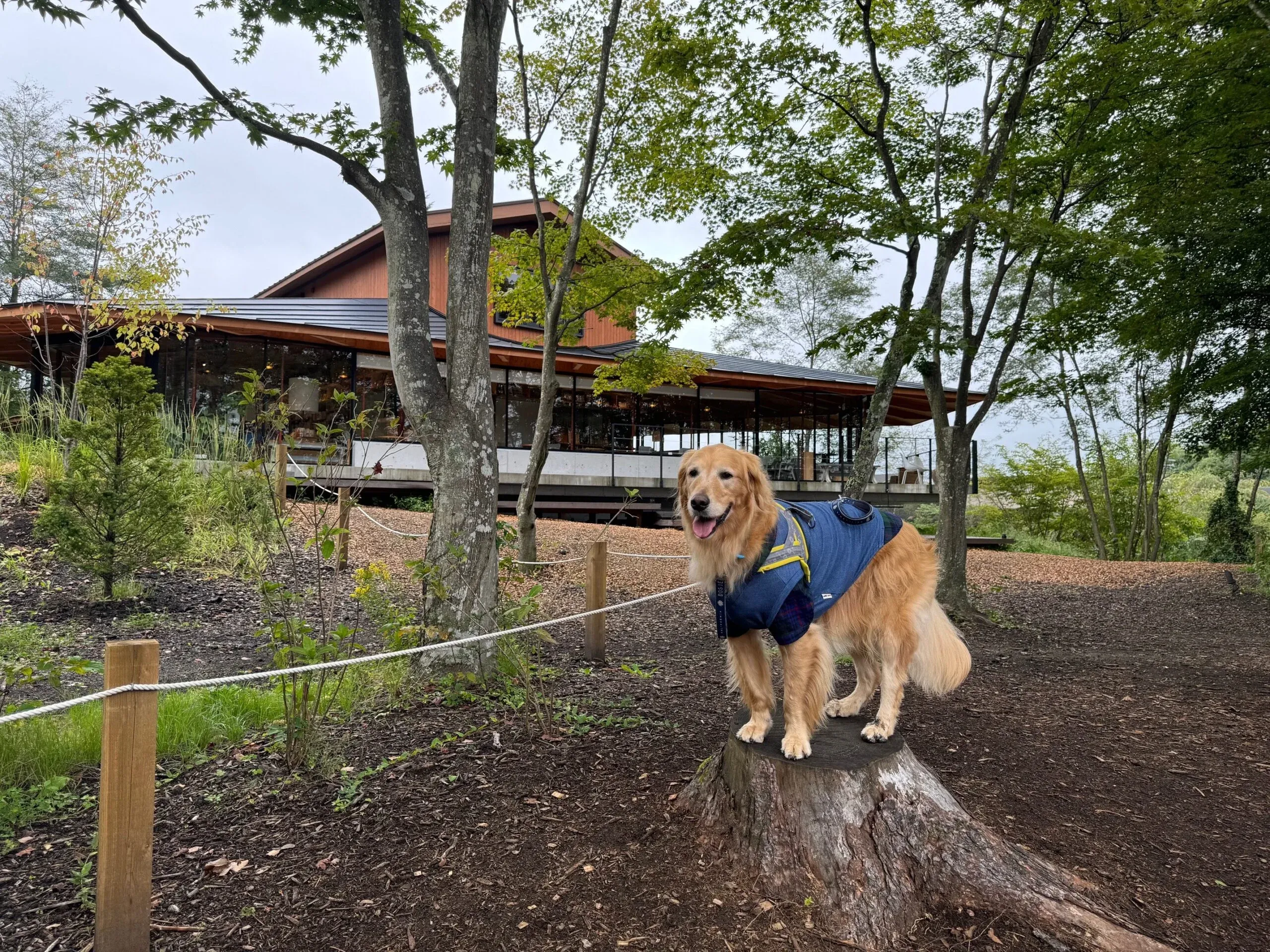 Karuizawa Commomgrounds（軽井沢コモングラウンズ）