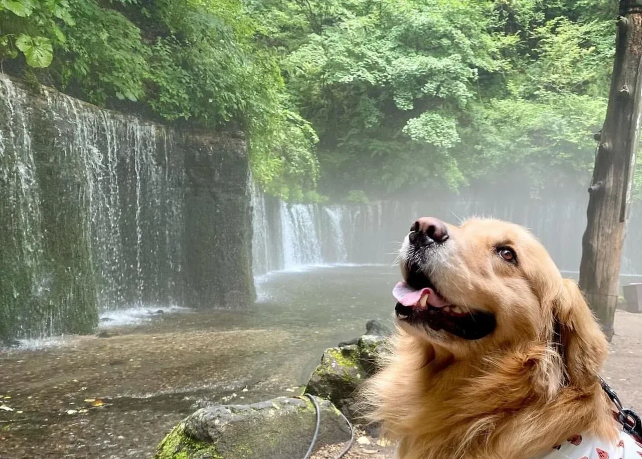 軽井沢 白糸の滝