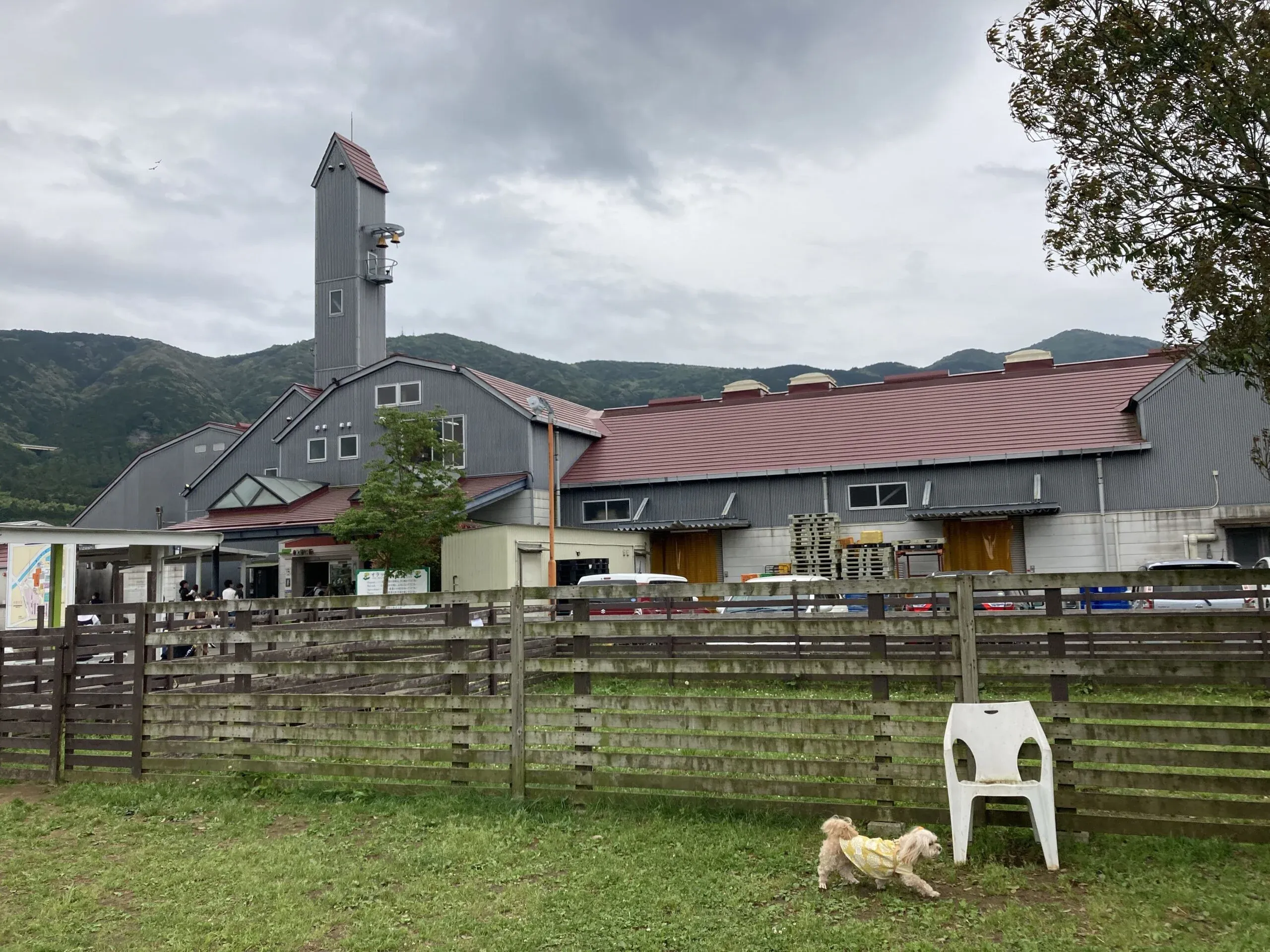 酪農王国オラッチェ