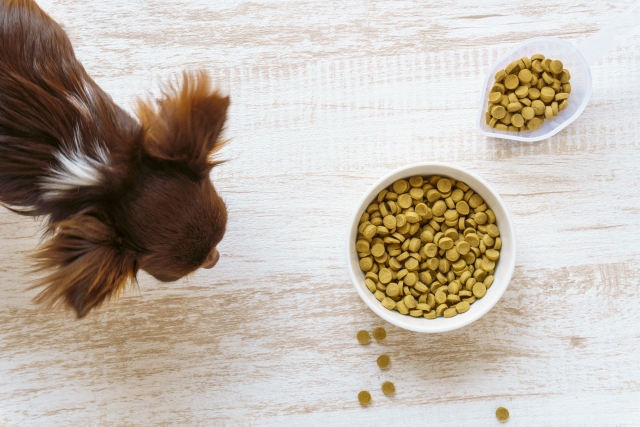 部屋食プランあり